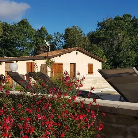 Ti - Libellule * Bussac-Foret