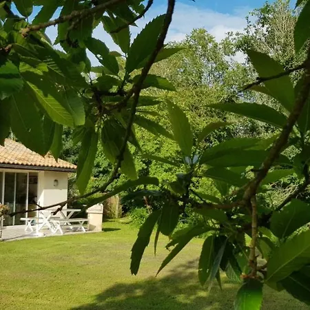 Ti - Libellule * Bussac-Foret