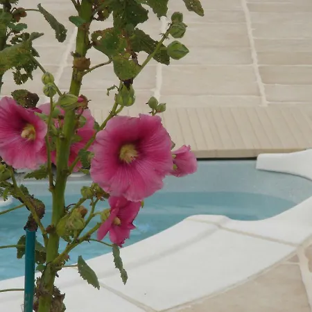 Ti - Libellule Casa vacanze Bussac-Foret