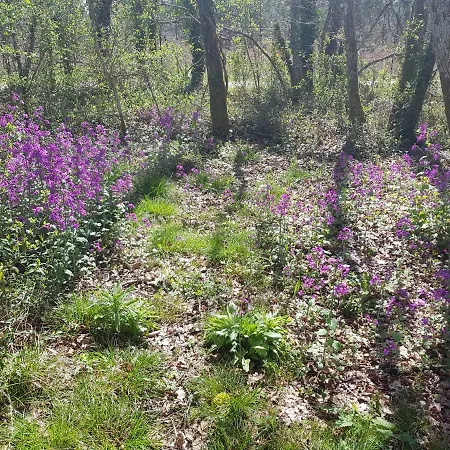 Casa vacanze Ti - Libellule Bussac-Foret