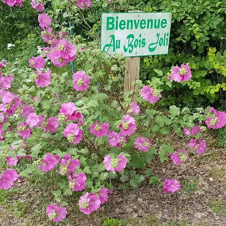 Casa vacanze Ti - Libellule *